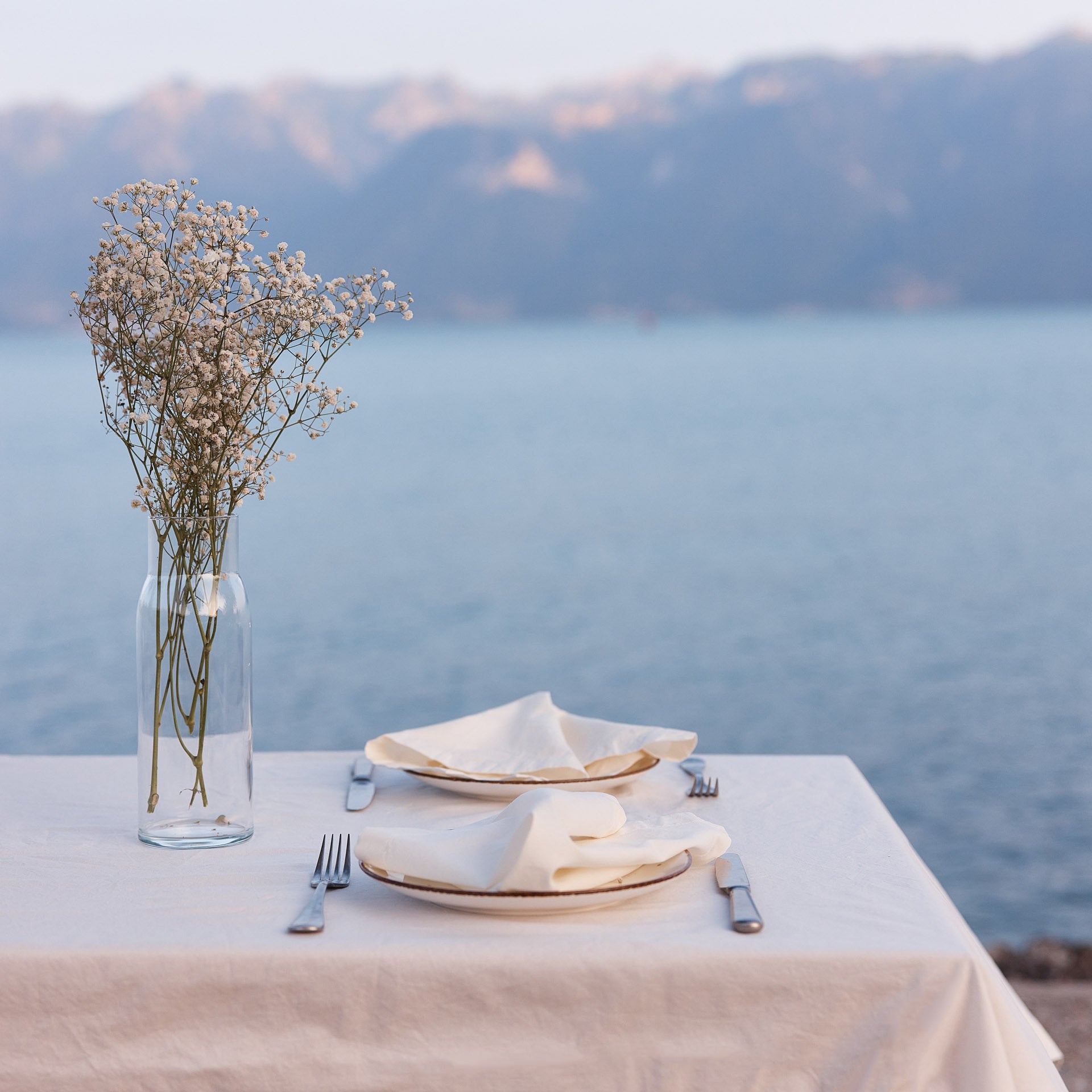 Скатертина Monhome