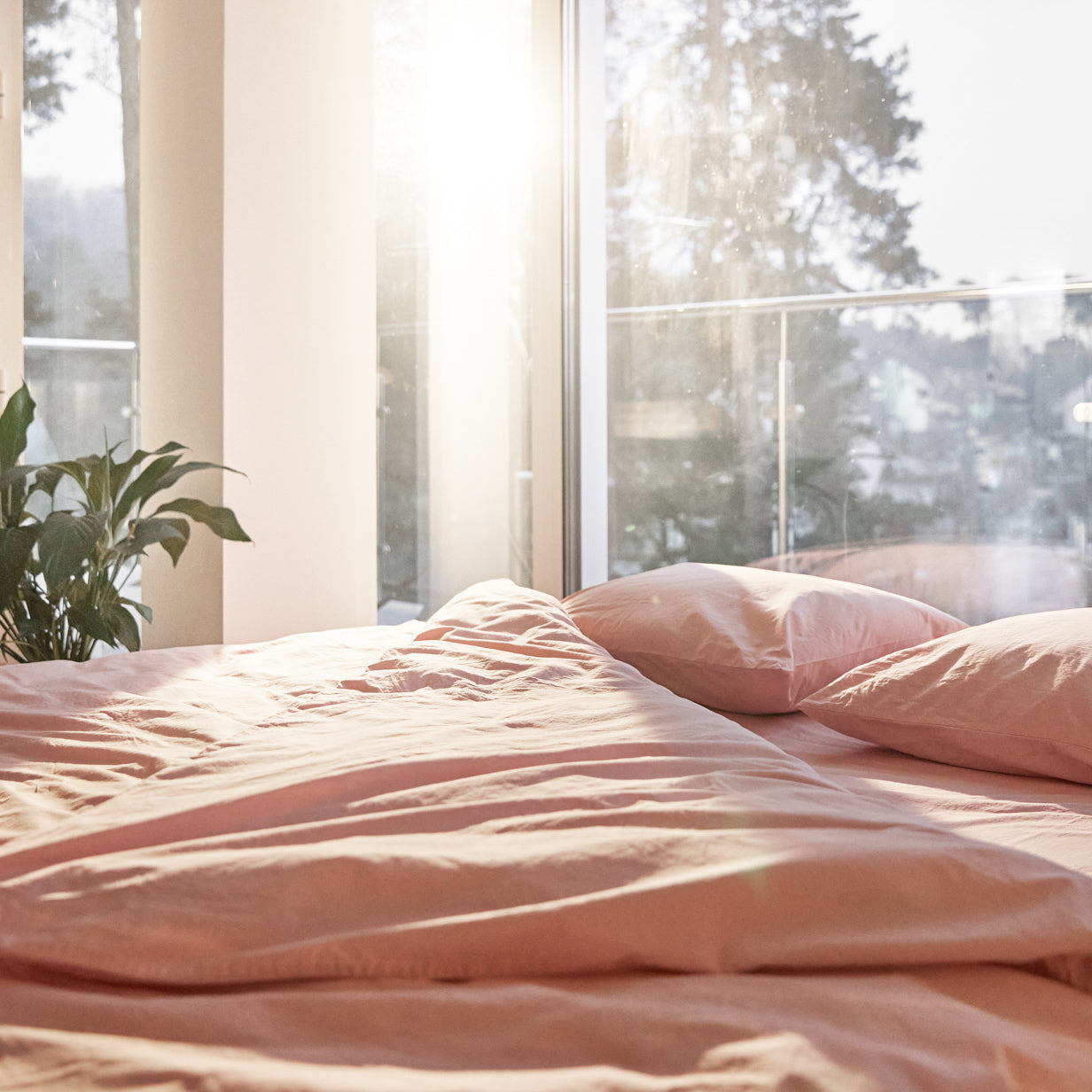 Комплект постільної білизни "Rose" (Євро)