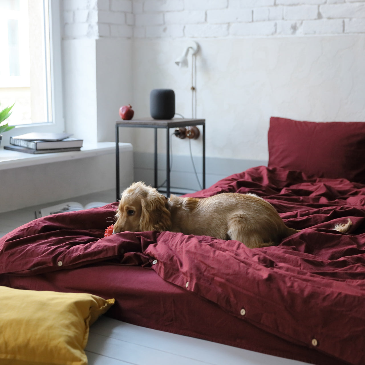 Комплект постільної білизни "Bordo" (Євро)